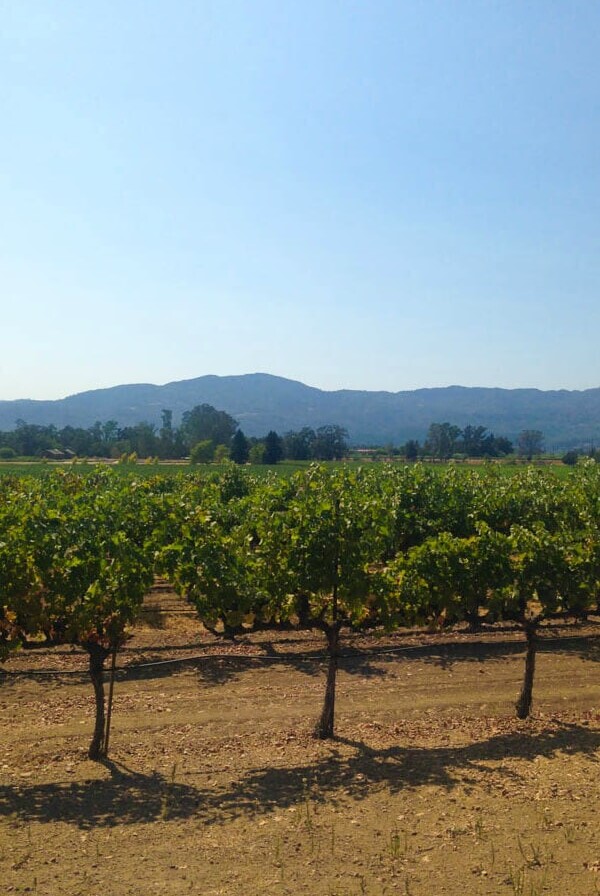 The Best Napa Valley Wineries