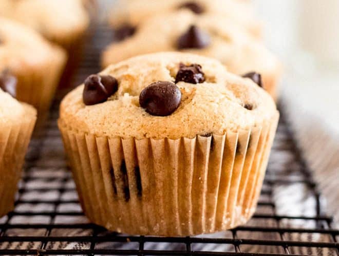 Homemade Chocolate Chip Muffins - Spoonful of Flavor