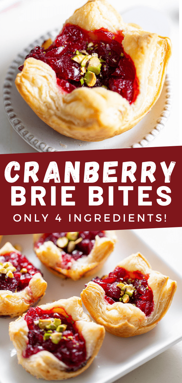 Cranberry Brie Bites (Quick and Easy!) - Spoonful of Flavor