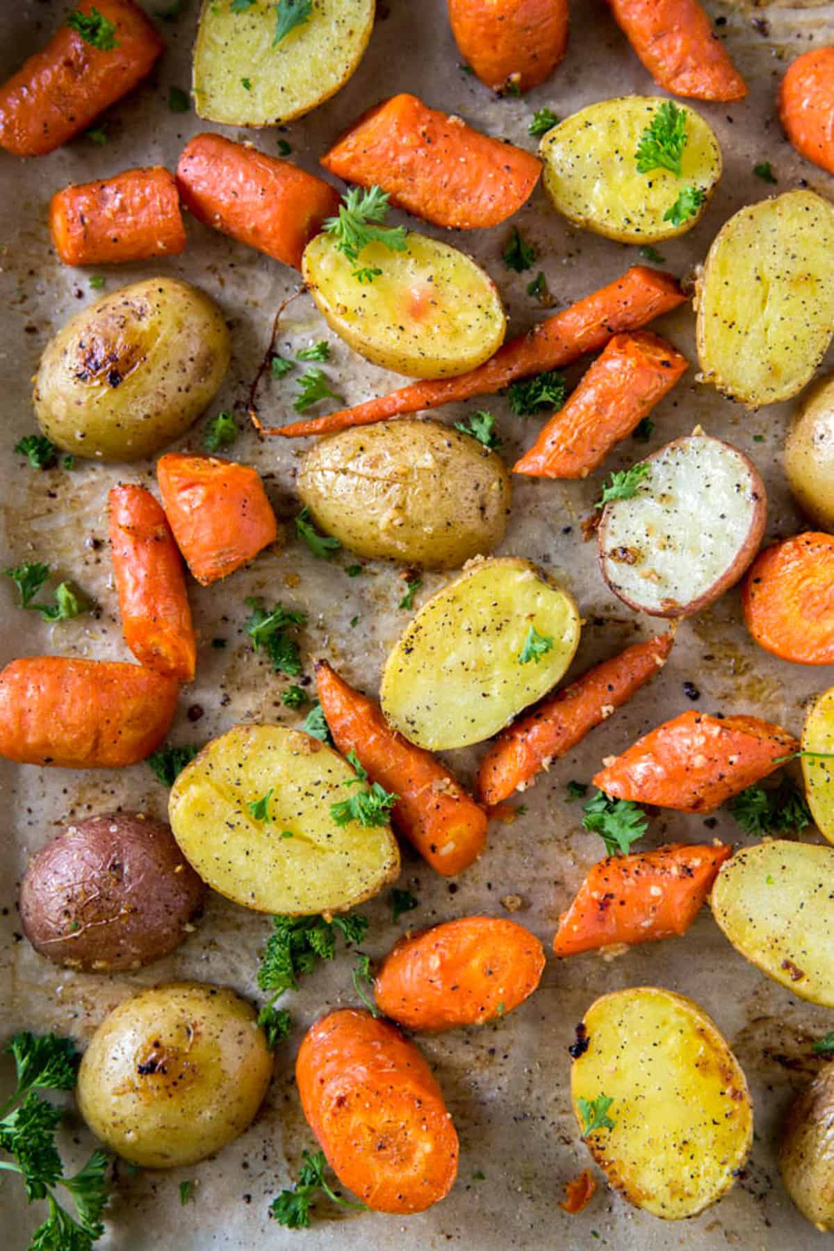 Up close pictures of roasted potatoes and carrots on a roasting pan and garnished with parsley.