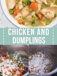 chicken and dumplings soup in a bowl