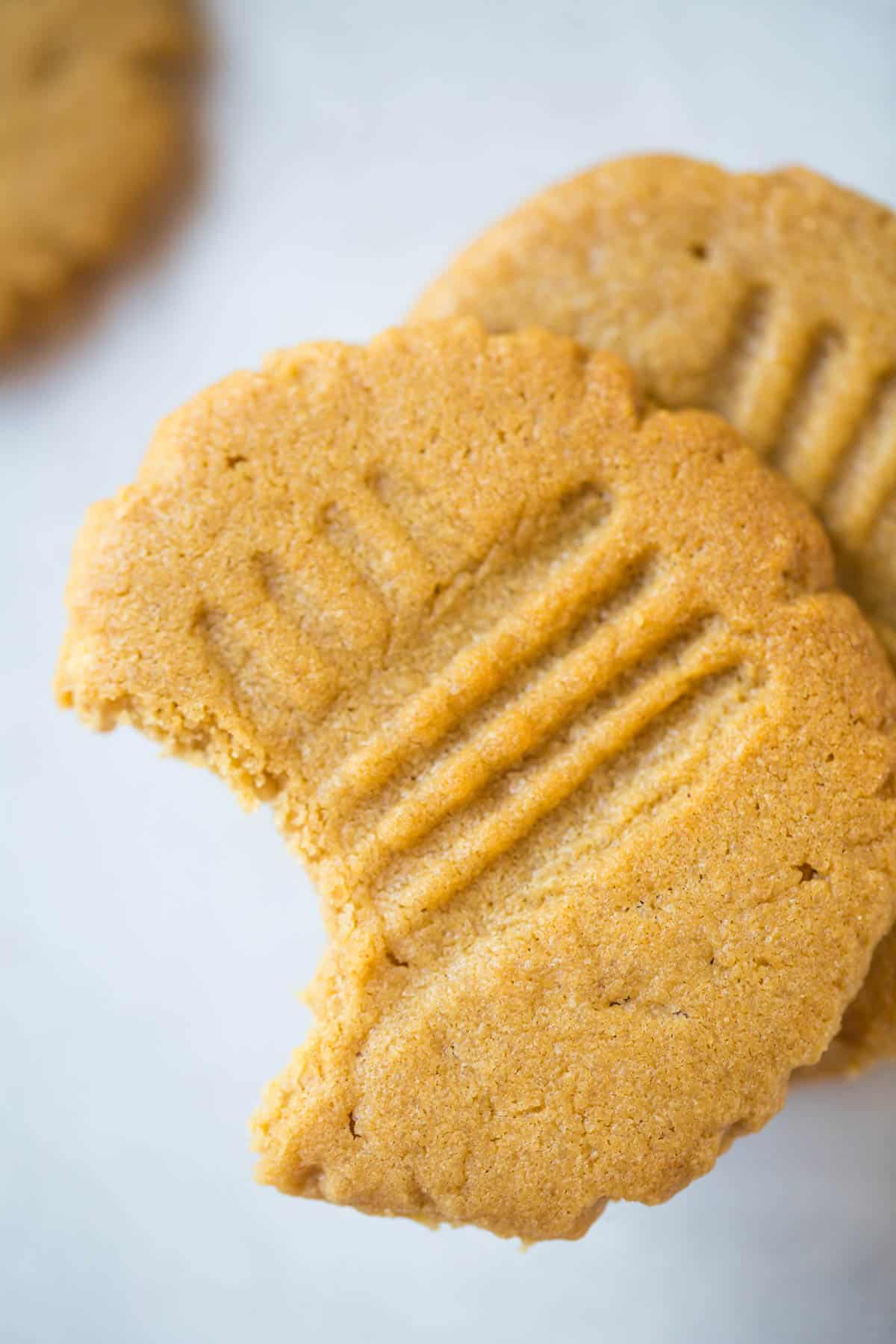 Peanut Butter Cookie up close showing off the crisscross marks.