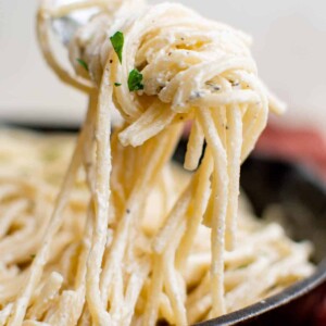 close-up on a spoonful of cream cheese pasta