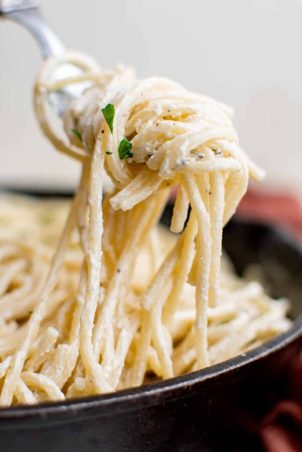 close-up on a spoonful of cream cheese pasta