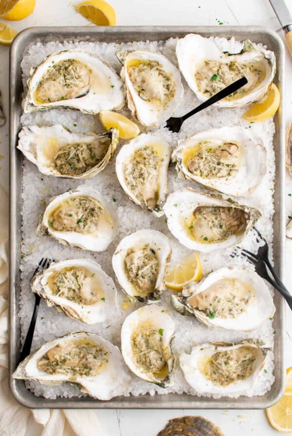 baked oysters in the shell on rock salt for serving