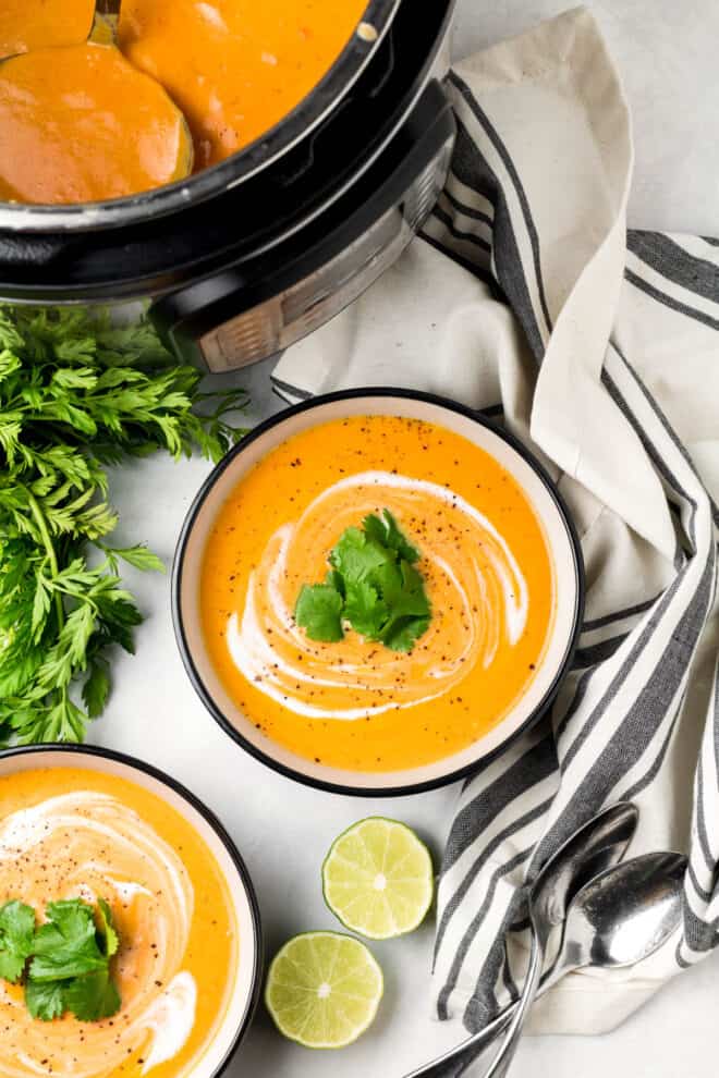 Instant Pot Carrot Soup - Spoonful of Flavor