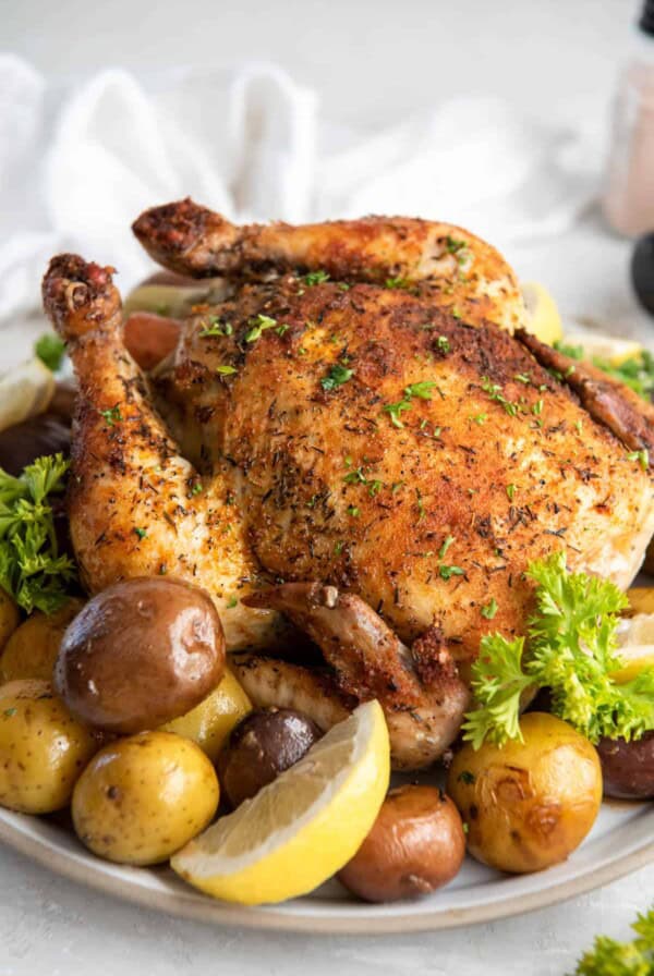 Dutch oven whole chicken on a white plate with roasted potatoes. The plate is ready for serving.