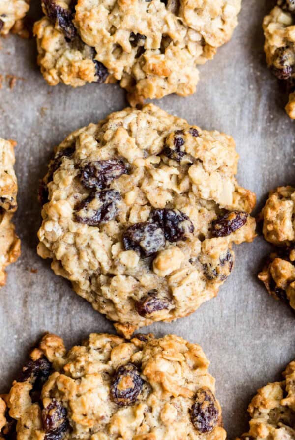 A closeup photo of gluten free oatmeal raisin cookies on a cookie sheet after baking.