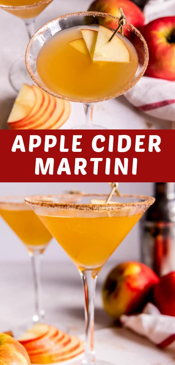 Apple Cider Martini - Spoonful of Flavor