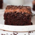 A close up photo of a slice of chocolate sheet cake on a small plate for serving.