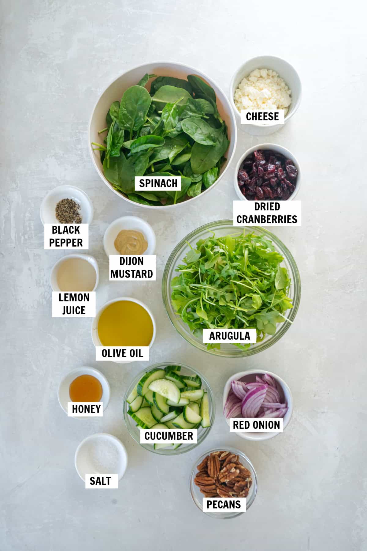 All of the ingredients for spinach and arugula salad in bowls on a white countertop including spinach, arugula, cucumber, dried cranberries, red onion, olive oil, white wine vinegar, dijon mustard, honey, salt and pepper. 