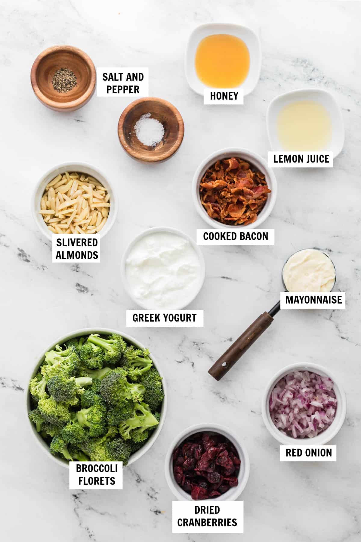 All of the ingredients for broccoli crunch salad in small bowls on a countertop including broccoli, dried cranberries, red onion, greek yogurt, mayonnaise, slivered almonds, honey, lemon juice, salt and pepper. 