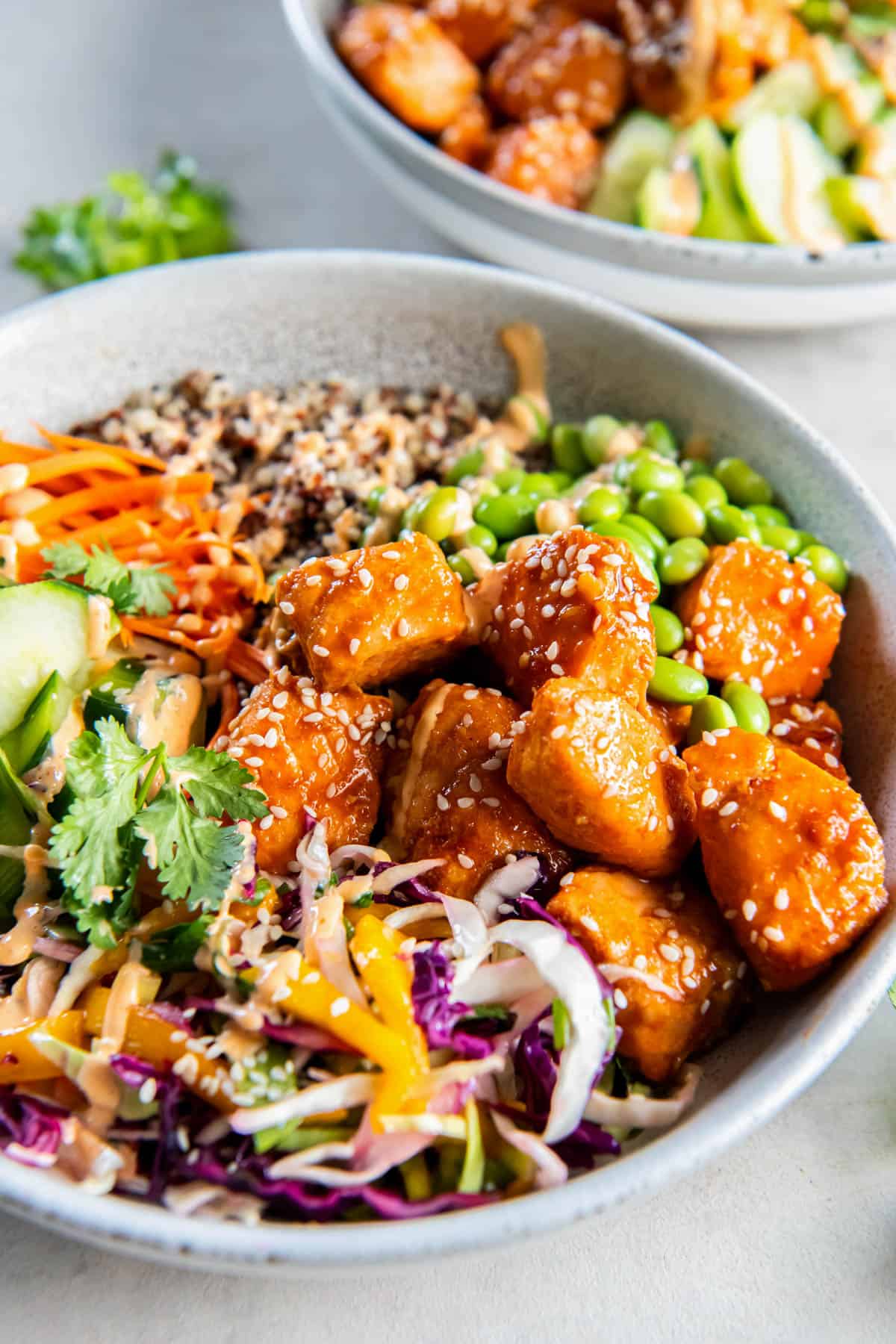 A close up photo of cooked sweet chili salmon in a bowl with mango slaw, edamame, cilantro, quinoa, cucumbers and shredded carrots.